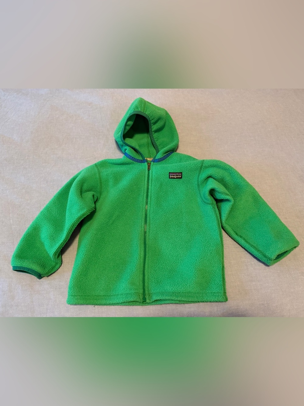 Patagonia Kids' Green Full-Zip Fleece Hoodie